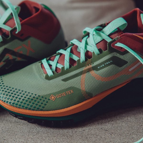 Nike Pegasus Trail 4 GORE-TEX Review – Women’s Running Shoe