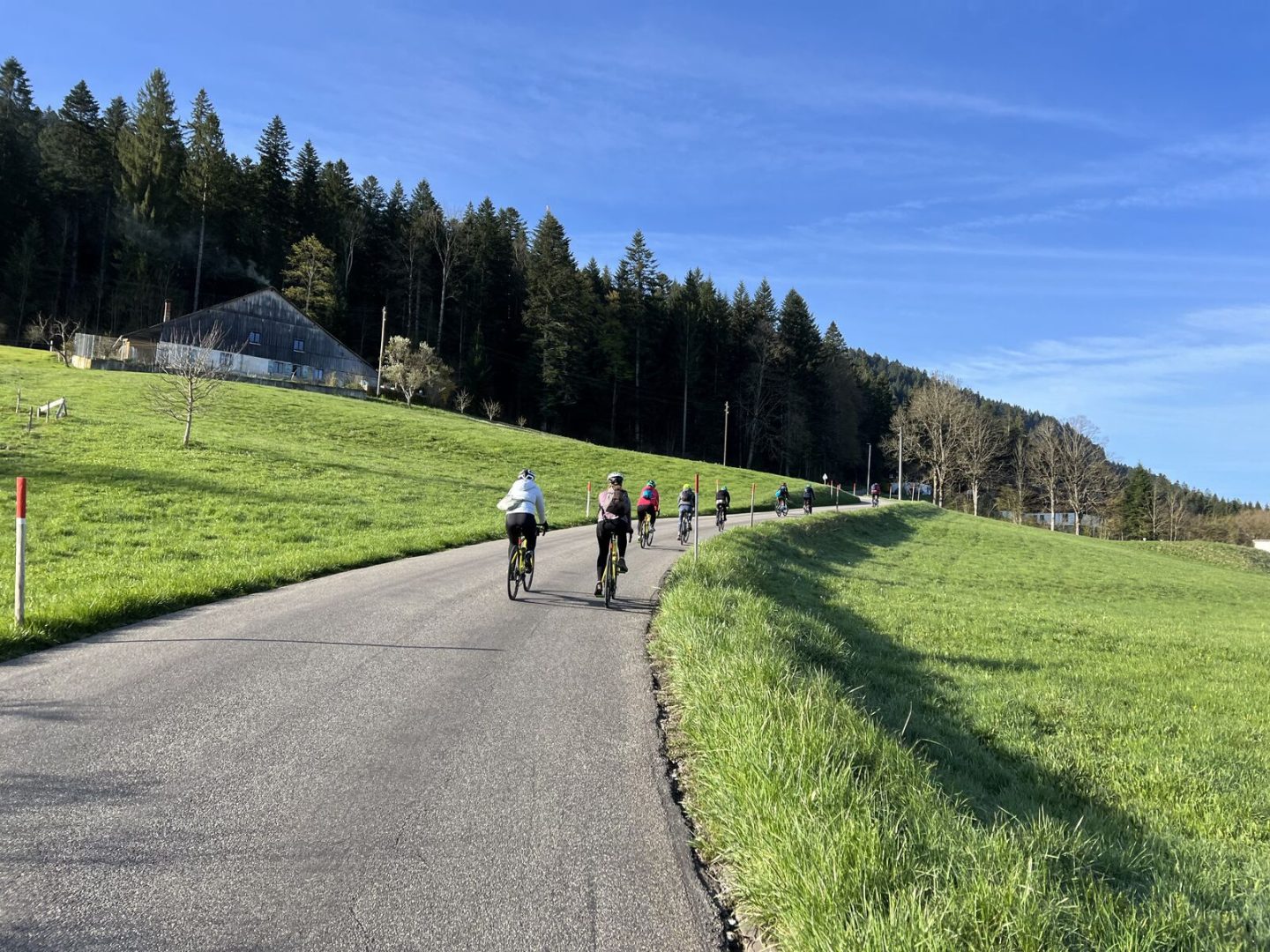 Planning your cycling holiday in Switzerland: cycling holiday tour on a road with trees and forests in the distance 