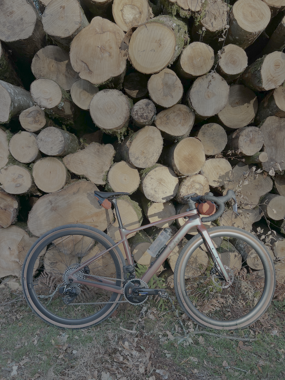 Gravel Cycling New Forest: Routes, Bike Hire & Where to Stay - Liv Devote Advanced Pro 2026
